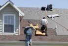 Back Forestskylight-replacements(2).jpg; ?>