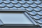 Back Forestskylight-replacements.jpg; ?>