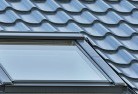 Back Forestskylights-4.jpg; ?>